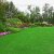 Lees Summit Weed Control & Lawn Fertilization by Cut Trim Blow&Go